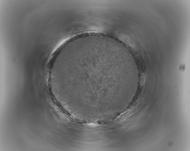X0000094181208200711020957