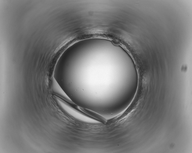 X0000094181209200711020957
