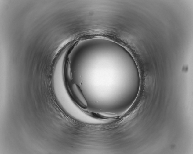 X0000094181210200711020957