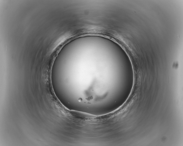 X0000094181211200711020957