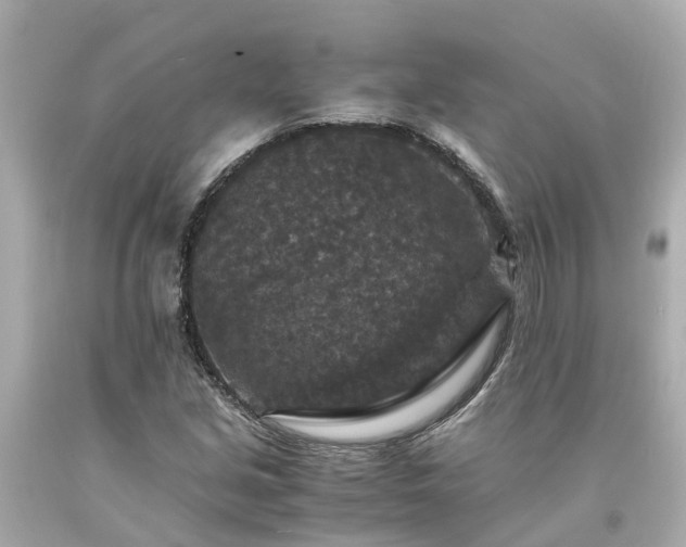 X0000094181213200711020957