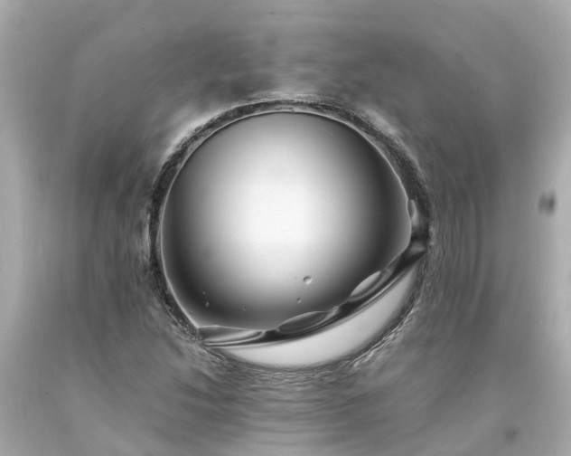 X0000094181214200711020957