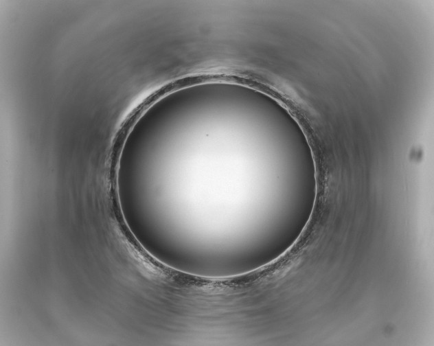 X0000094181216200711020957