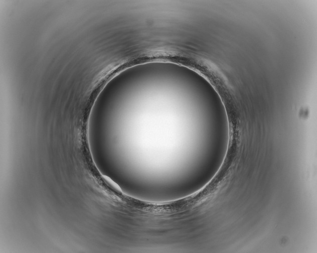 X0000094181217200711020957