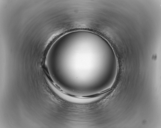 X0000094181218200711020957