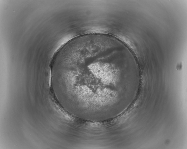 X0000094181219200711020957