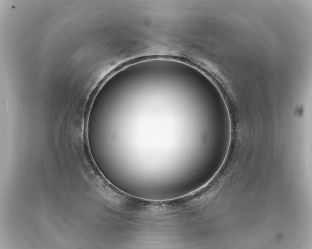 X0000094181220200711020957