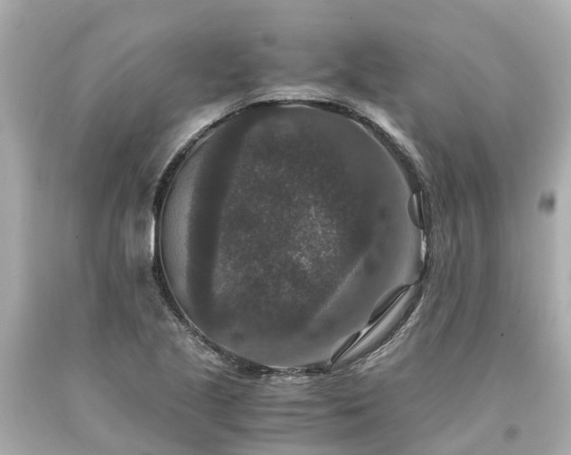 X0000094181221200711020957