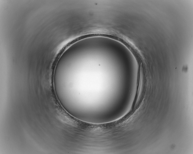 X0000094181222200711020957