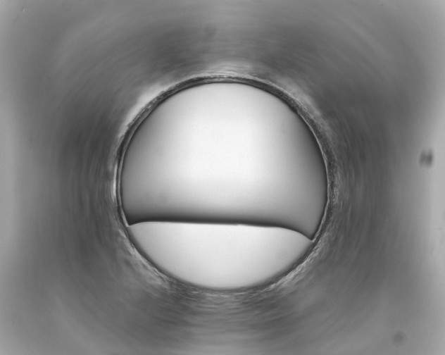X0000094181224200711020957