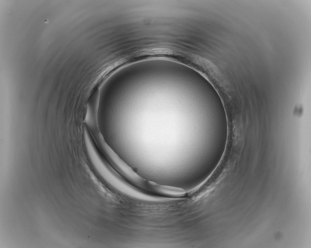 X0000094181225200711020957