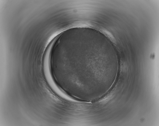 X0000094181226200711020957