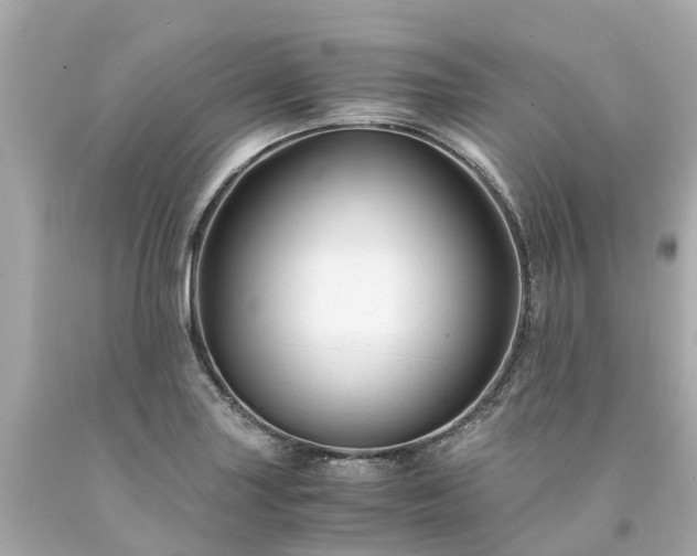 X0000094181227200711020957