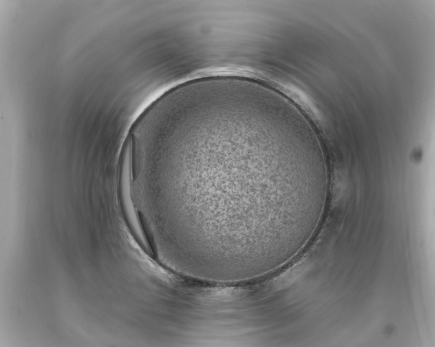 X0000094181228200711020957