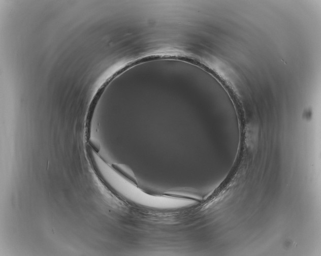 X0000094181229200711020957