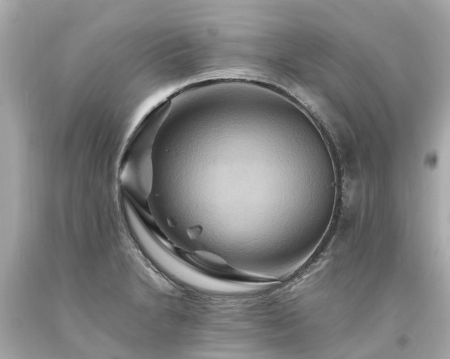 X0000094181230200711020957