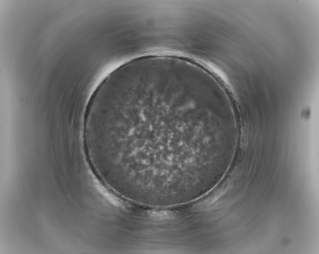 X0000094181231200711020957