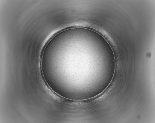 X0000094181232200711020957