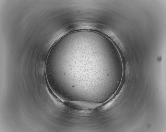 X0000094181233200711020957