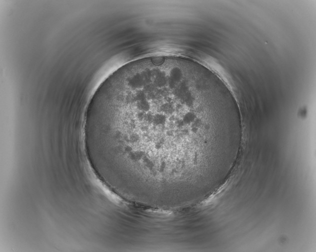 X0000094181235200711020957