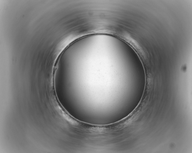 X0000094181236200711020957