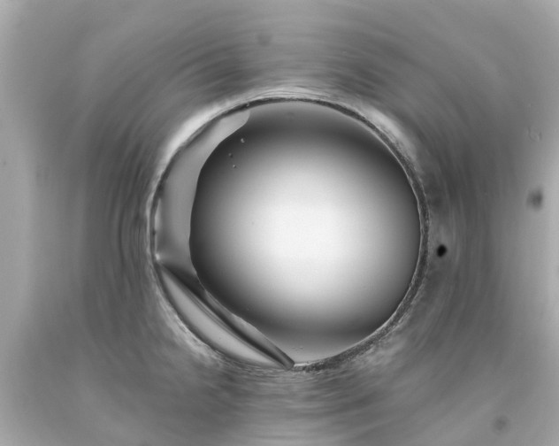 X0000094181238200711020957
