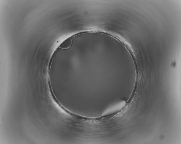 X0000094181239200711020957