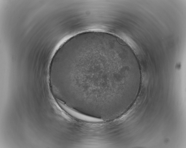 X0000094181240200711020957