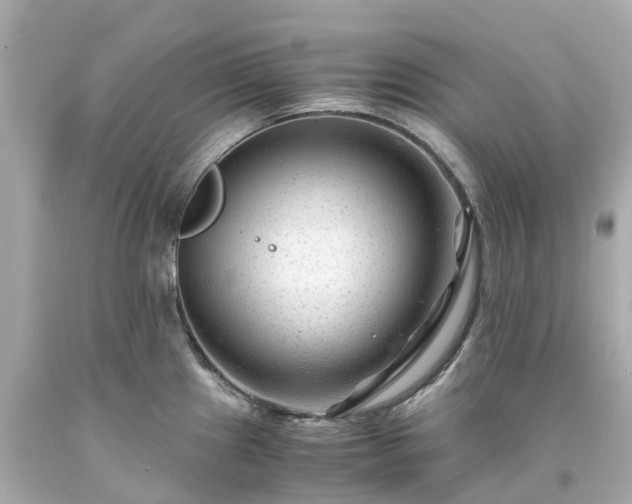 X0000094181241200711020957