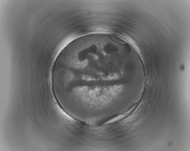X0000094181243200711020957