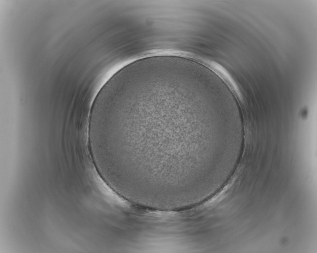 X0000094181244200711020957