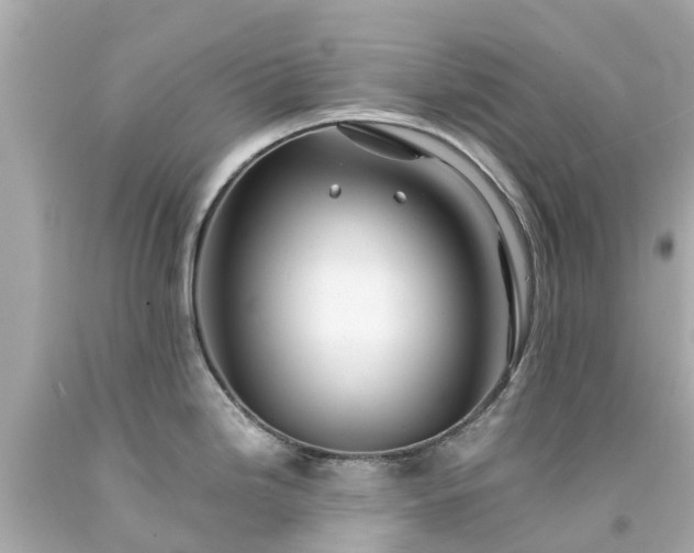 X0000094181246200711020957