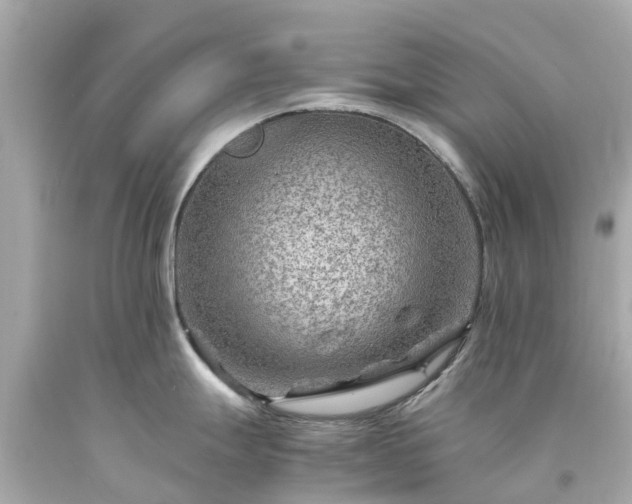 X0000094181247200711020957