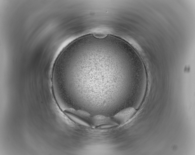 X0000094181248200711020957