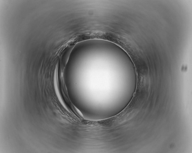 X0000094181250200711020957
