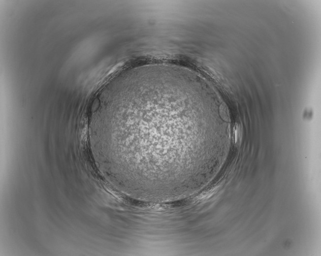 X0000094181251200711020957