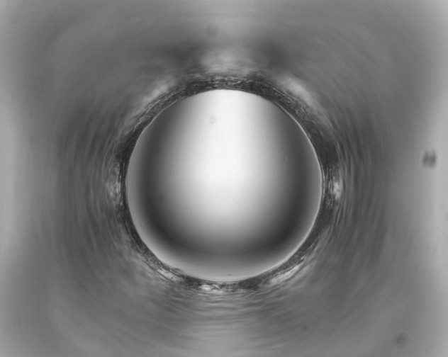 X0000094181252200711020957