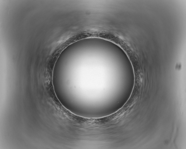 X0000094181253200711020957
