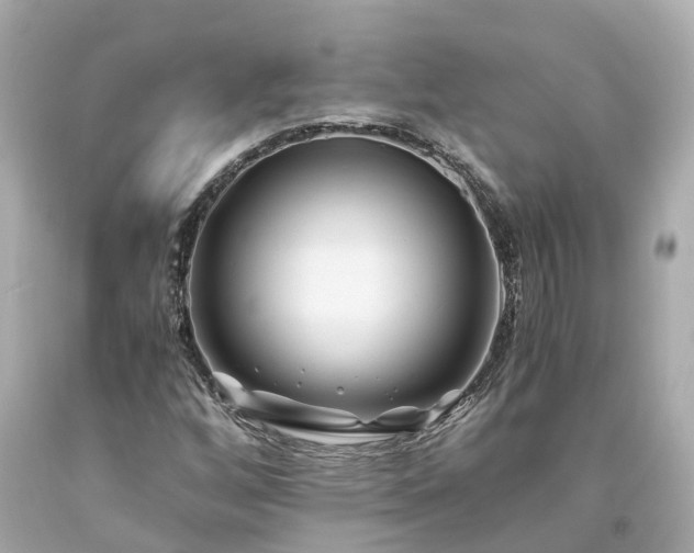 X0000094181256200711020956