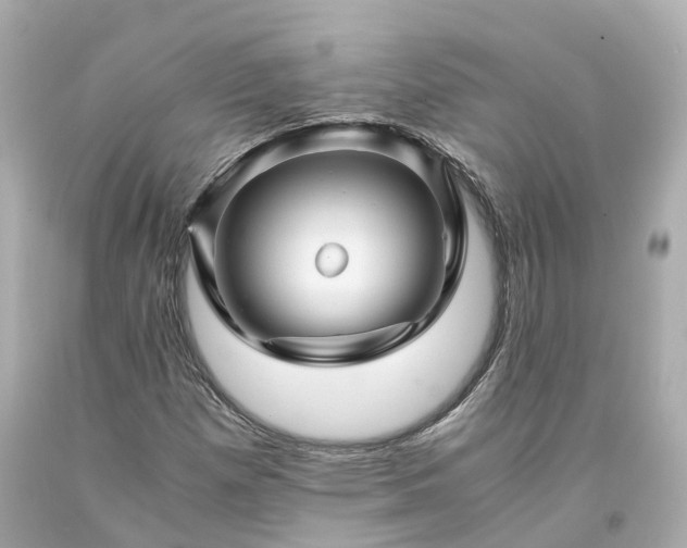 X0000094181257200711020956