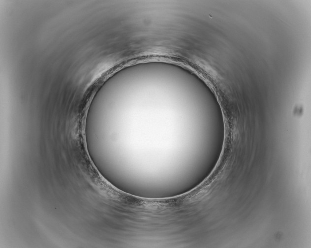 X0000094181258200711020956
