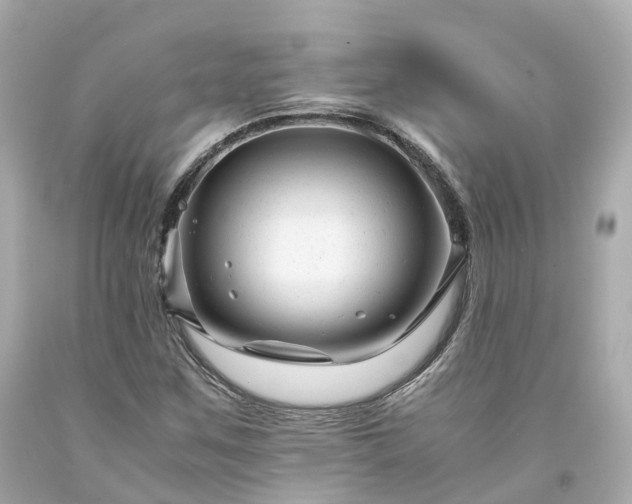 X0000094181259200711020956