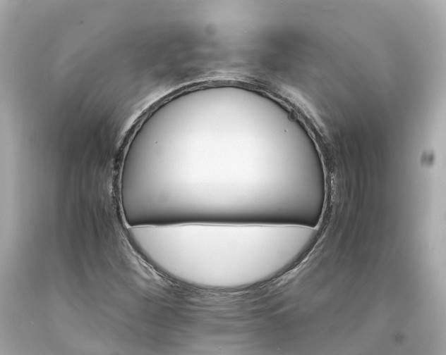 X0000094181260200711020956