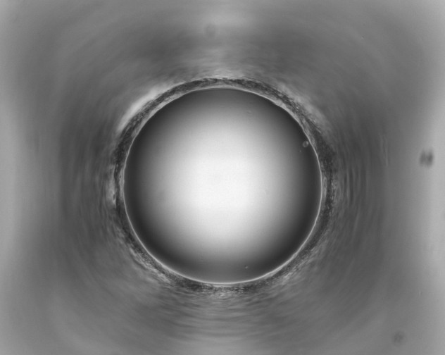 X0000094181262200711020956