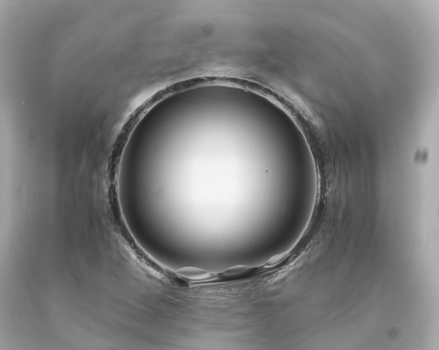 X0000094181264200711020956