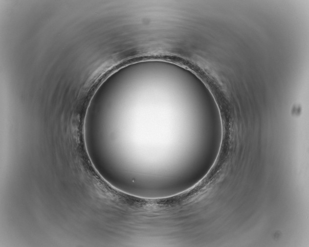 X0000094181265200711020956