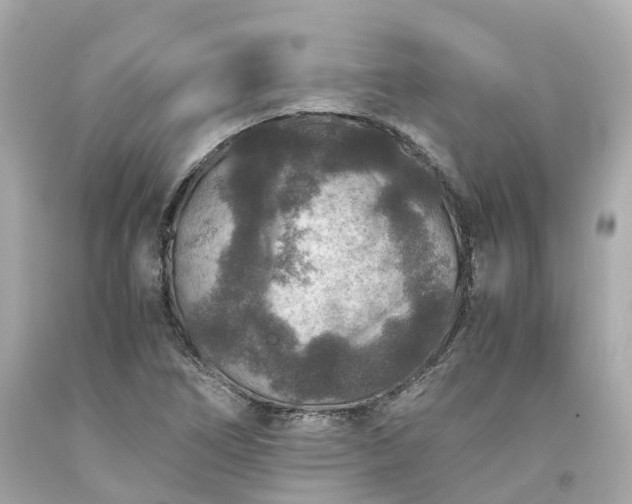 X0000094181266200711020956
