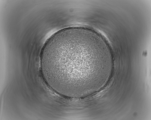 X0000094181267200711020956