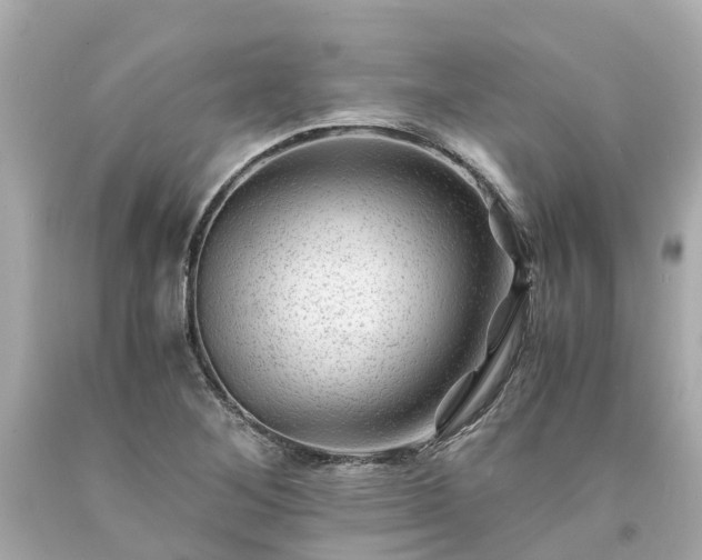 X0000094181268200711020956