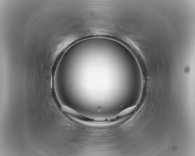 X0000094181269200711020956